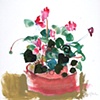 Cyclamen on Tan