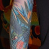 hummingb1