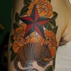 armadillo