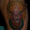 deer