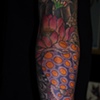 octo1