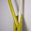 Friction (side view)