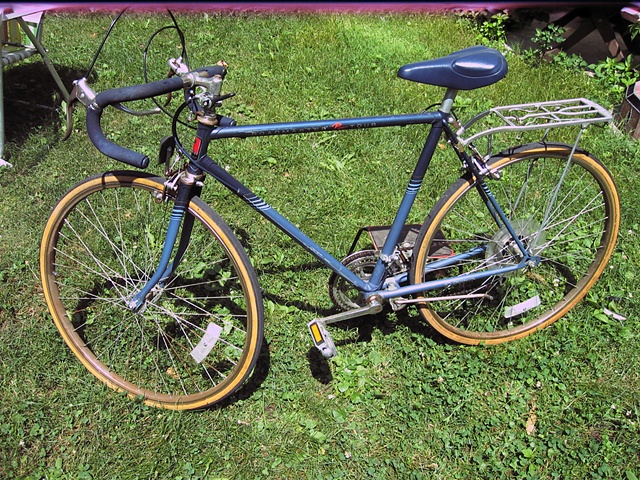 Blue-road bike