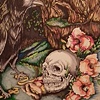 Illustrations