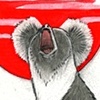 INDRI LEMUR
