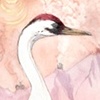 WHOOPING CRANE