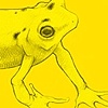 PANAMANIAN GOLDEN FROG
