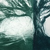 Winter Tree