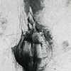 Bulb