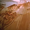 Detritus (Opulence)