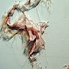 Remnants (Detail)