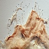 Remnants (Detail)