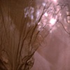 Detritus (Opulence)