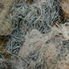 Remnants
(Second stage)