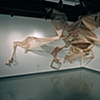 Untitled (Nests, Shells, and Corners)
