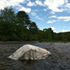 Untitled (Gihon River)