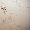 Remnants (Detail)