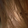 Wither