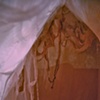 Detritus (Opulence)