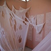 beginning of Detritus install