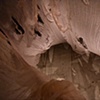 Wither