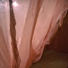 Detritus (Opulence)
