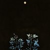 moonglow