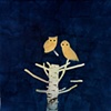 untitled (search party)