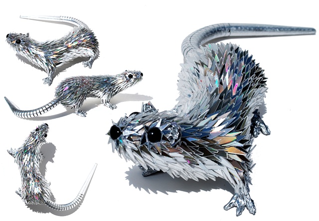 Rat 2