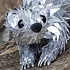 Rat 3