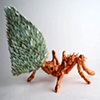 Ant