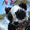 Panda 2