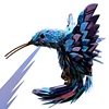 Humming bird