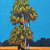 Symphony of Palms