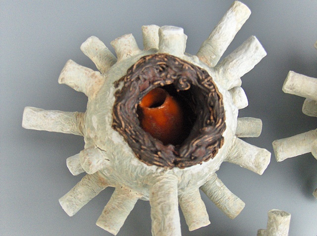 Lentivirinae; lentivirus