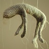 lint animals