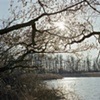 The Luxury of Distance (2008 - 2010)