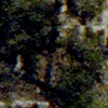 Montezuma Castle - June 1987 (2011)