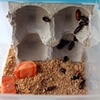 Wurm-Haus Unit