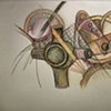 Drawings
