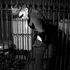 noir war