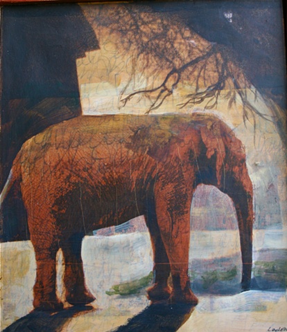 elephant