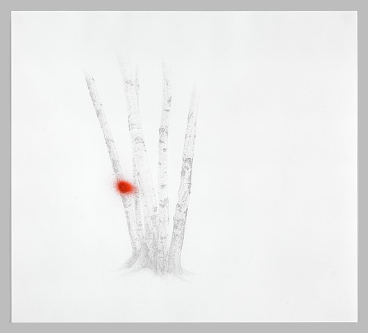 Splash Image