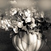 Flowers Hanging in Mausoleum