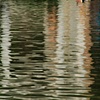 Pond Reflection Golden Gate Park