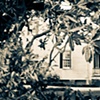 Palo Alto