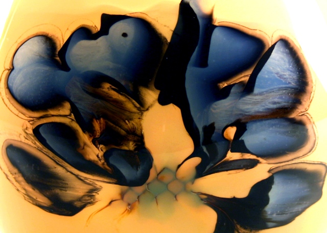 Splash Image