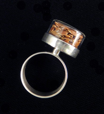 sterling silver flax seeds herbarium specimen ring