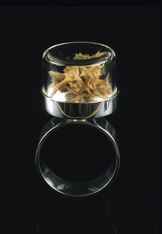 Anika Smulovitz Herbarium Specimen Ring Tribulus terrestris Goat's Head jewelry