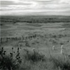 Little Bighorn Battlefield, Montana